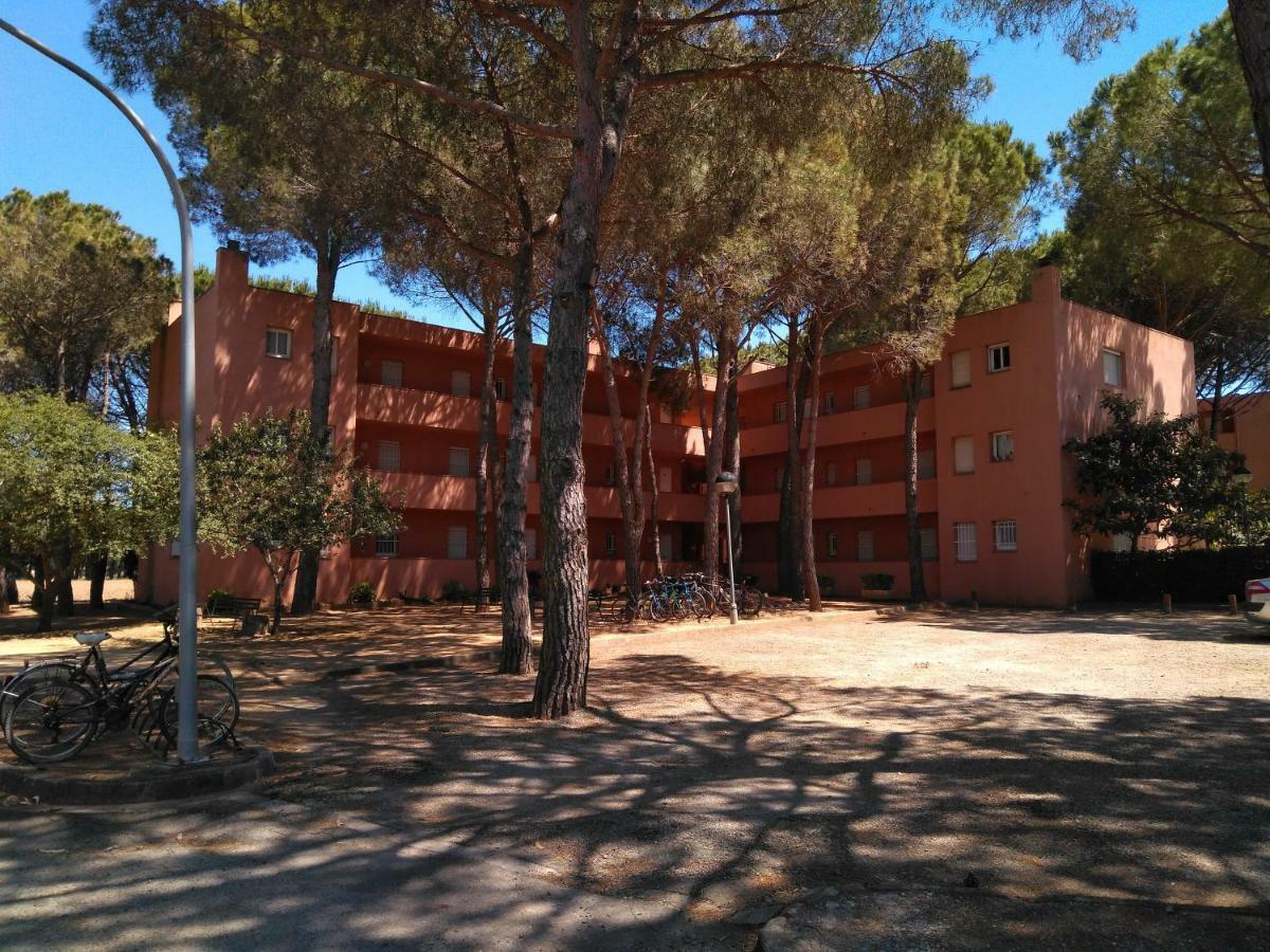 Bonito Apartamento, Con Piscina, Excelente Wifi Y Aire Acondicionado بالس المظهر الخارجي الصورة